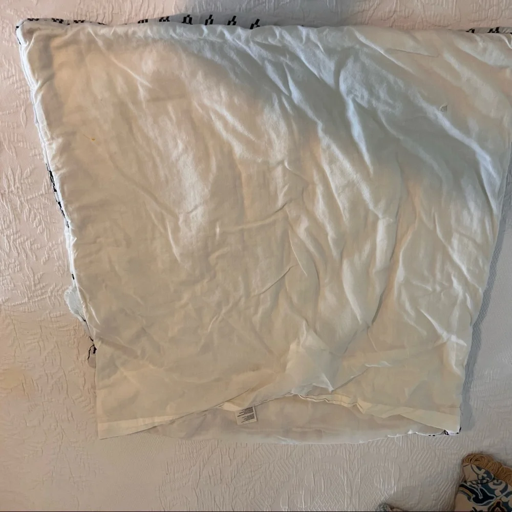 Anthropologie Embroidered Lilou Euro Shams (2) Cream and Black Design​​​​​​​​​